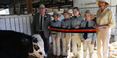 Singleton Beef and Land Management Association Inc