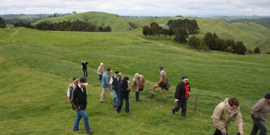 Singleton Beef and Land Management Association Inc
