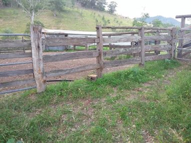 Singleton Beef and Land Management Association Inc