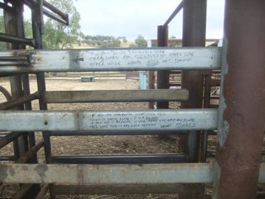 Singleton Beef and Land Management Association Inc