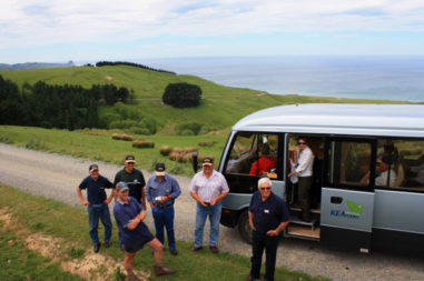 Singleton Beef and Land Management Association Inc